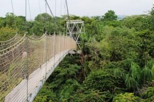 Lekki Conservation Centre