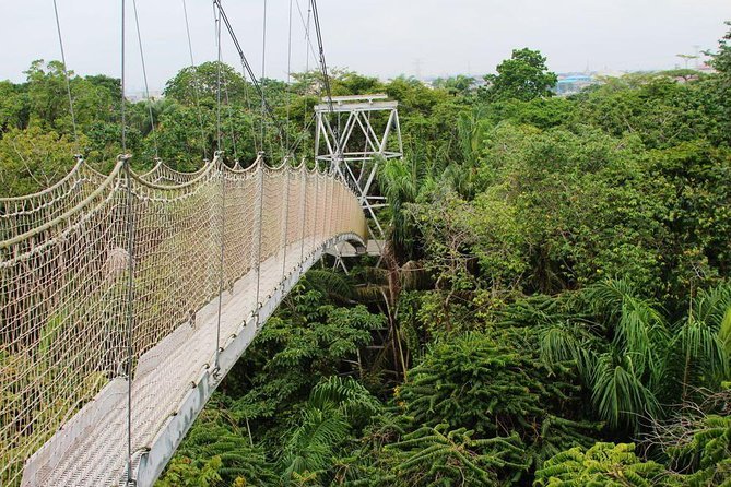 Lekki Conservation Centre: Discover A Slice of Wilderness in Lagos