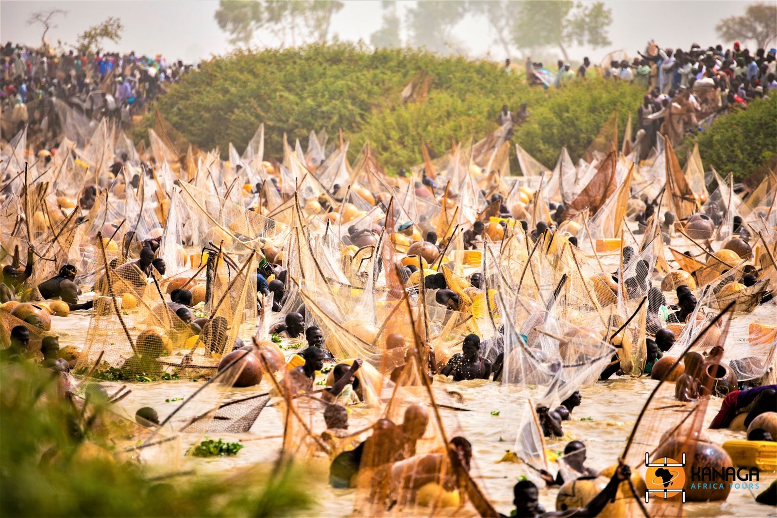 What to Expect During the Argungu Fishing Festival