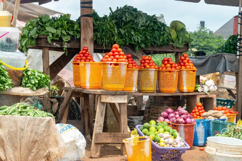 Culinary Tourism in Nigeria: Food Markets You Must Visit