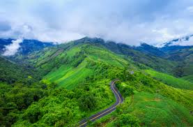 Bird-Watching Spots in Nigeria